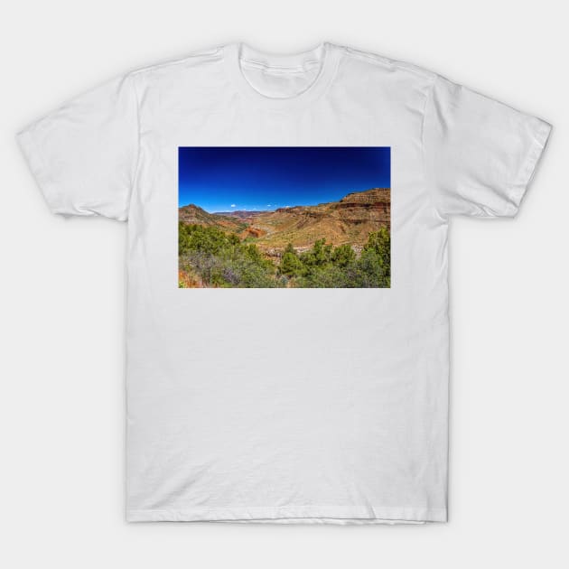 Salt River Canyon Wilderness T-Shirt by Gestalt Imagery